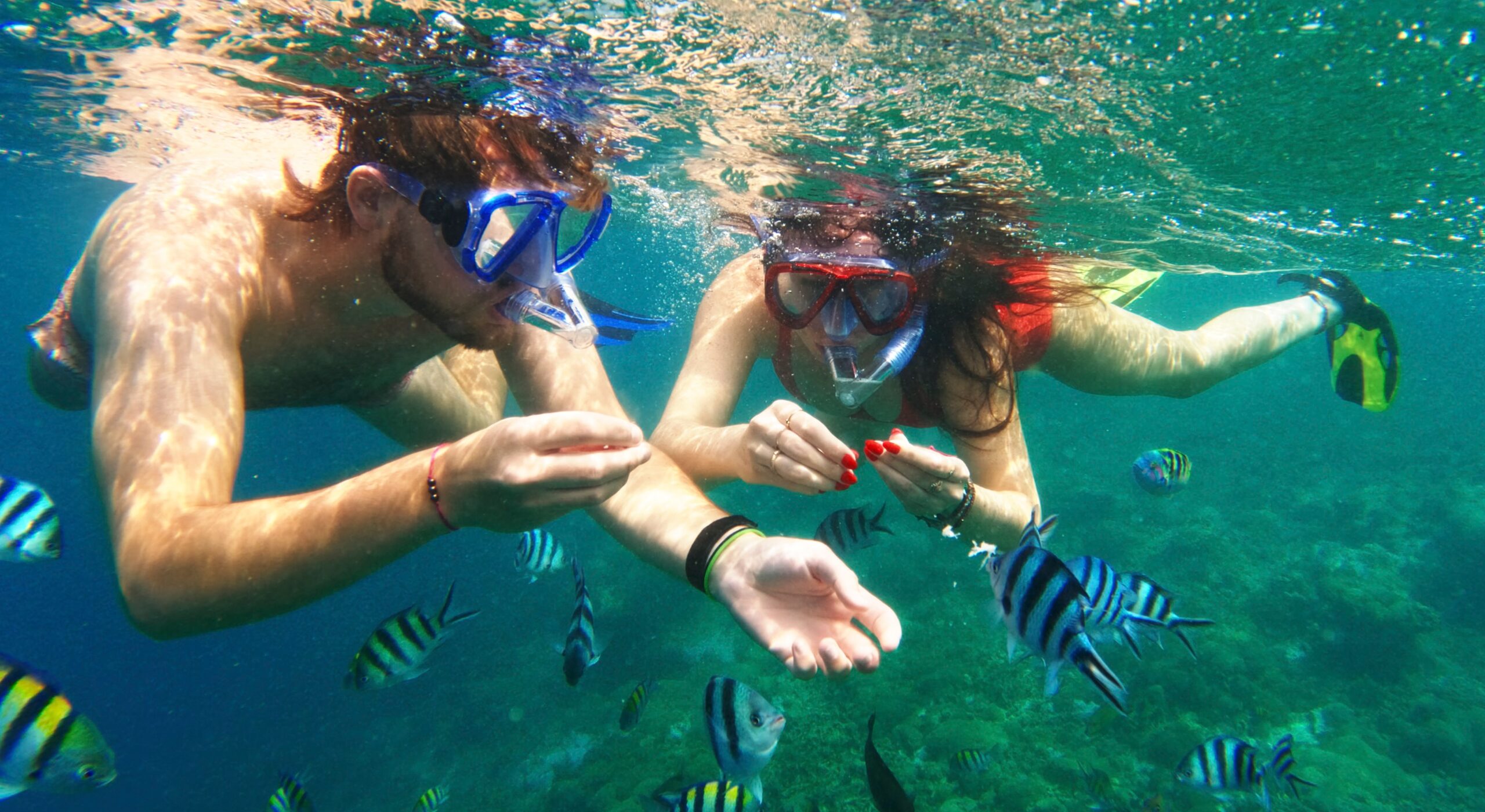 snorkeling in Carribean