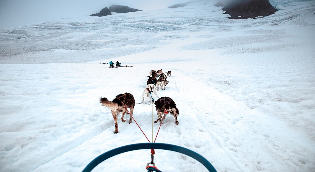 dog sledding in juneau alaska