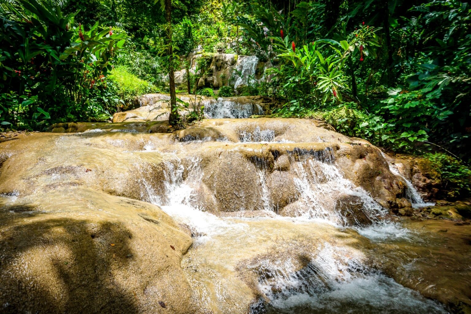 Best Things To Do In Ocho Rios Celebrity Cruises