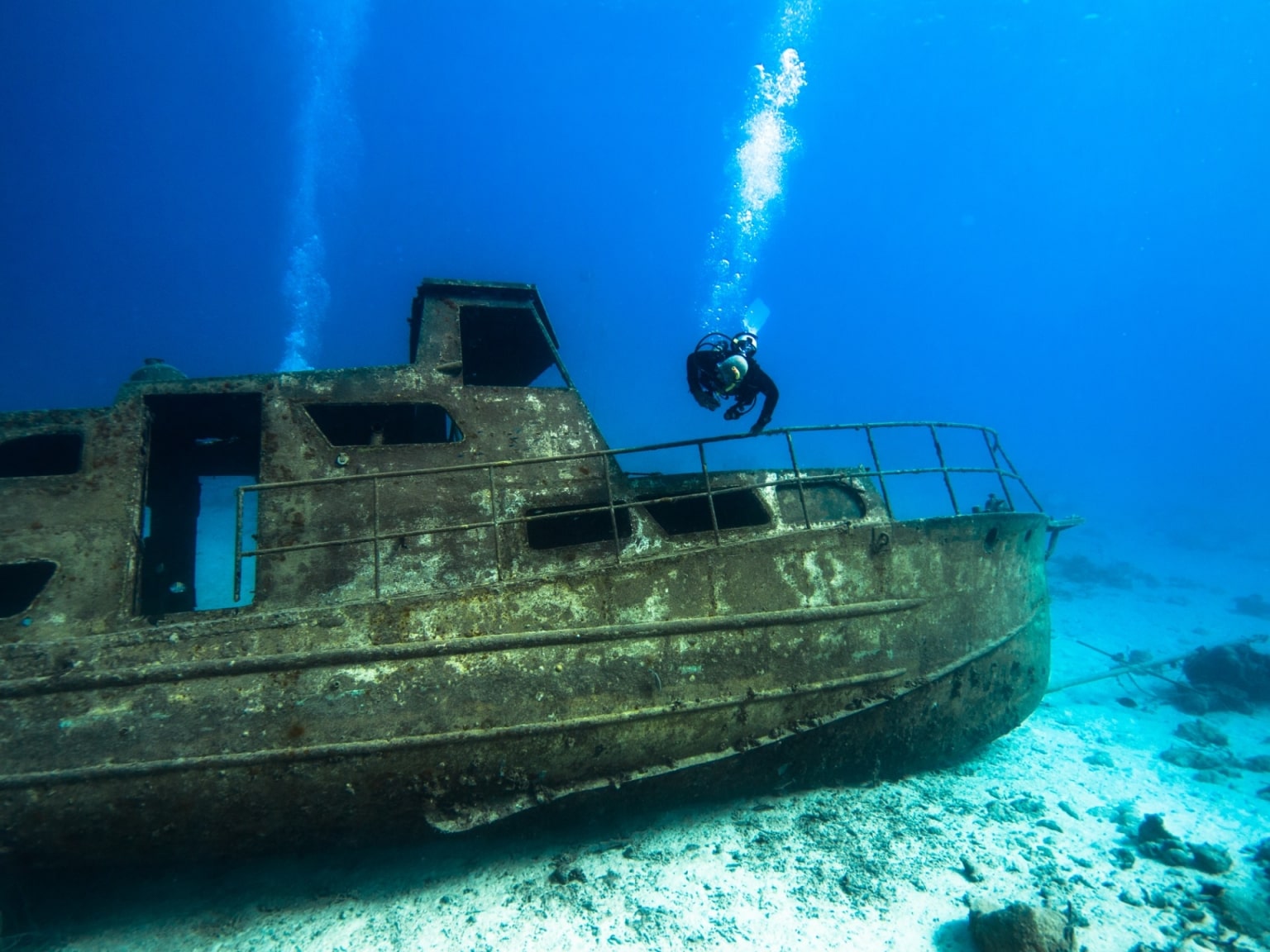 14 Best Scuba Diving Spots In Aruba Celebrity Cruises