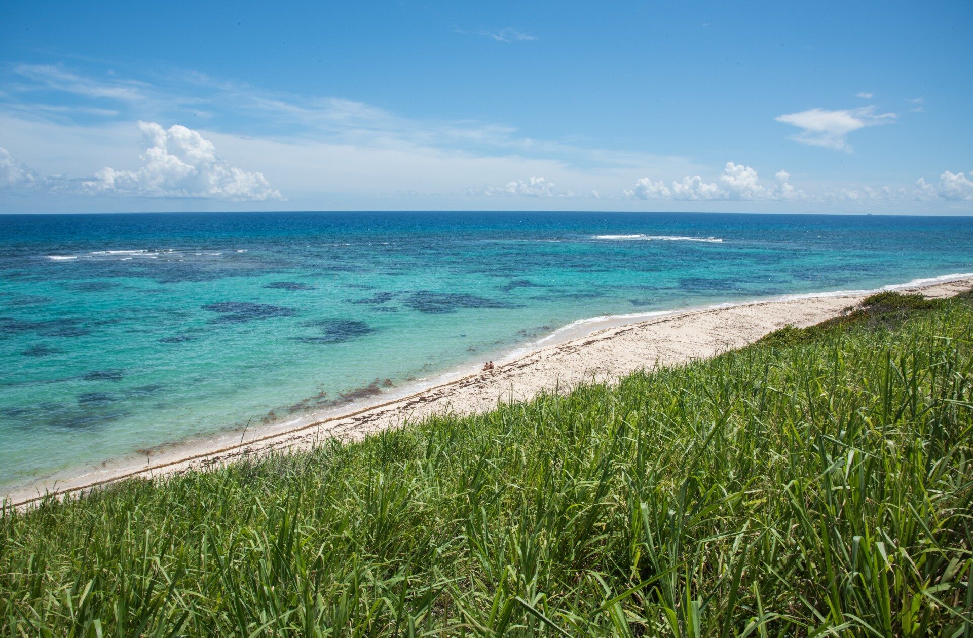 13 Best Places To Go Snorkeling In St Croix Celebrity Cruises