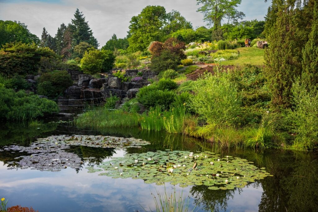 Lush landscape of University Botanical Garden, Oslo