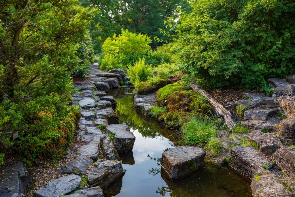 Beautiful landscape of the Botanical Garden, Oslo