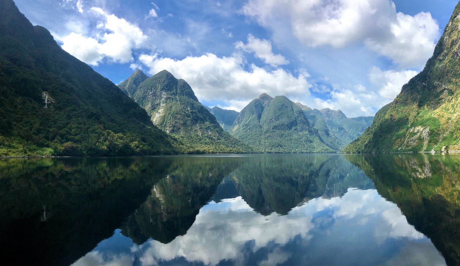 cruise fjords new zealand