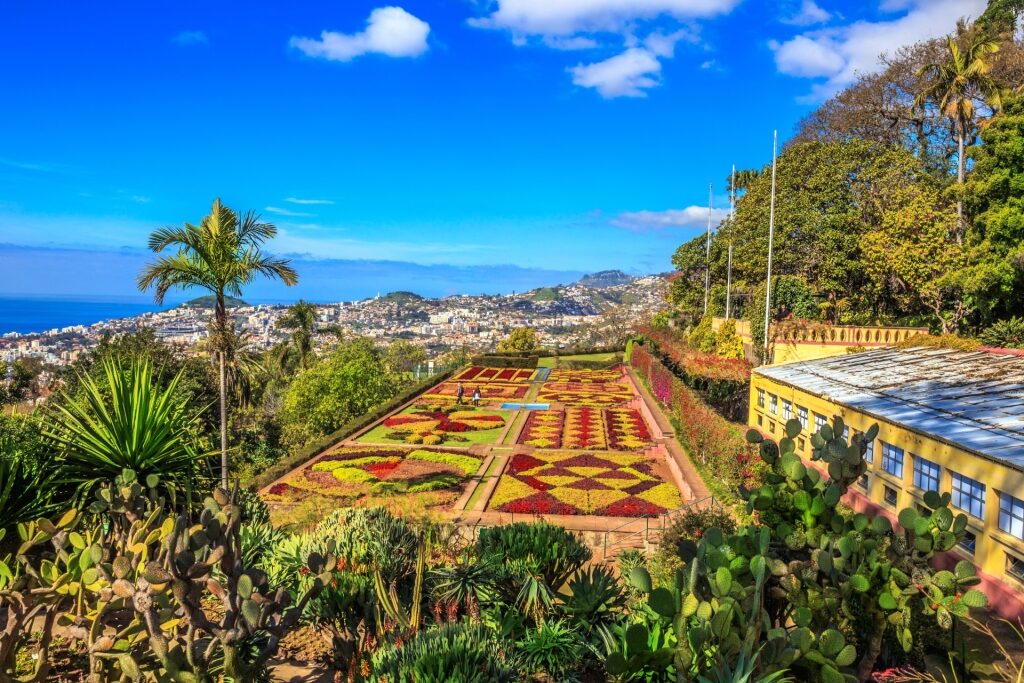 Scenic Botanical Gardens in Funchal, Madeira