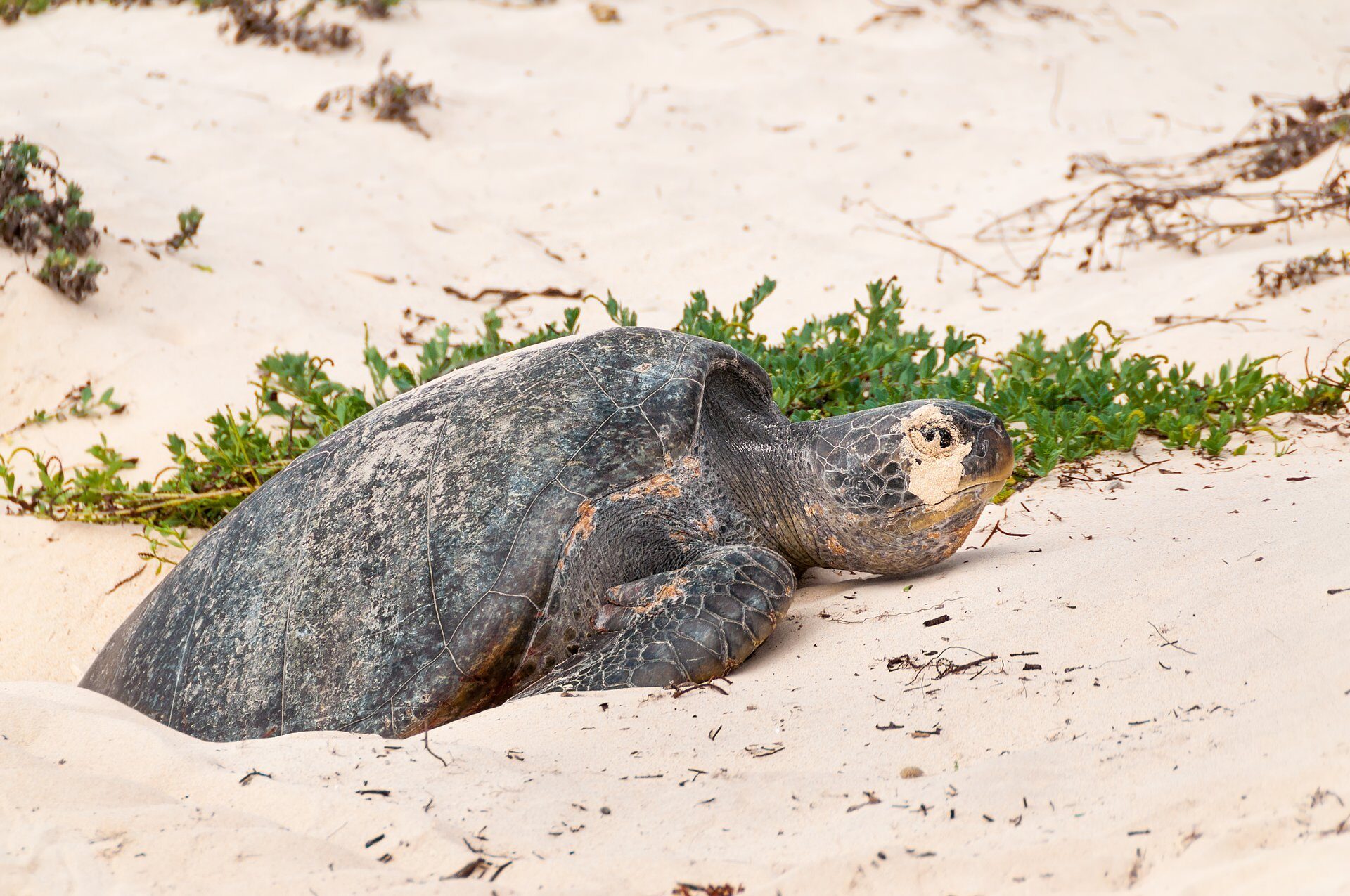 13 Things to Do on a Machu Picchu & Galapagos Cruise | Celebrity Cruises