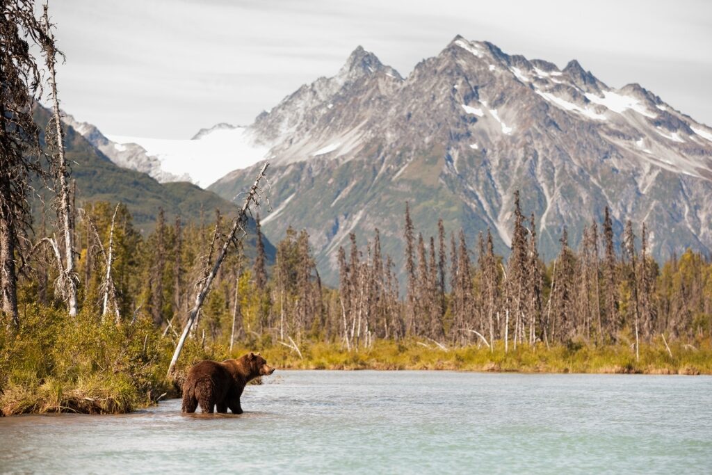 Lake Clark National Park, near Anchorage, one of the best hikes in Alaska
