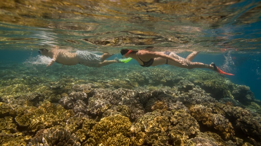 Couple snorkeling in Great Barrier Reef, Australia