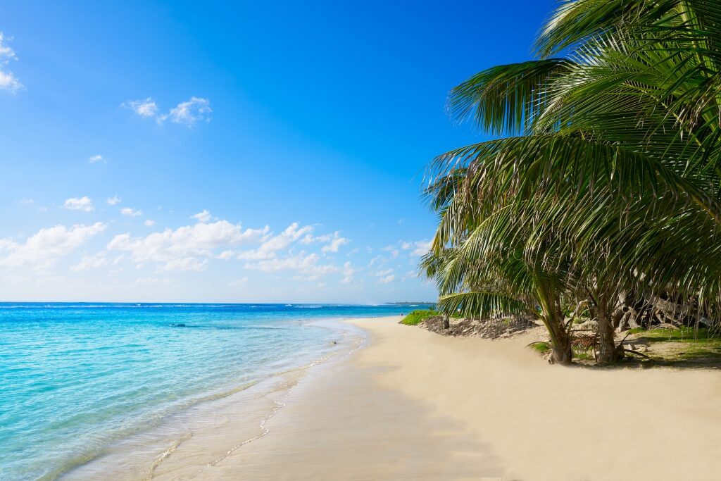 free beach near costa maya cruise port