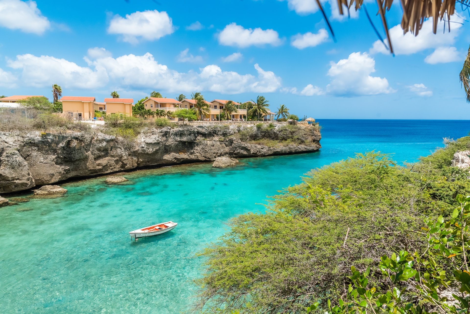 The 10 Best Places to Go Snorkeling in Curaçao | Celebrity Cruises