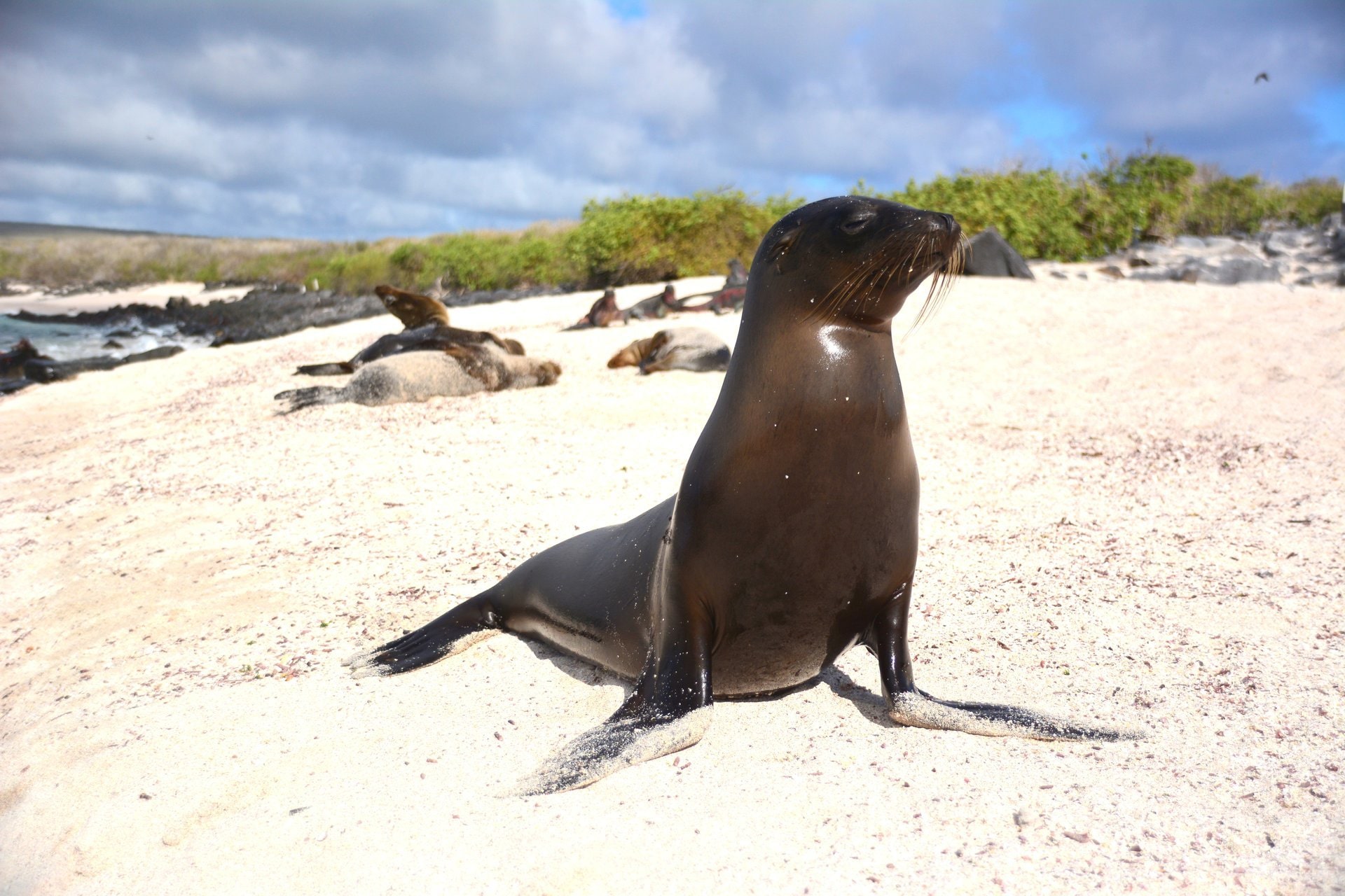 Planning A Trip To The Galapagos Islands