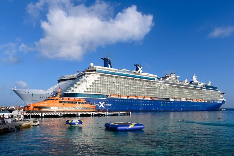do cruise ships dock on port or starboard side