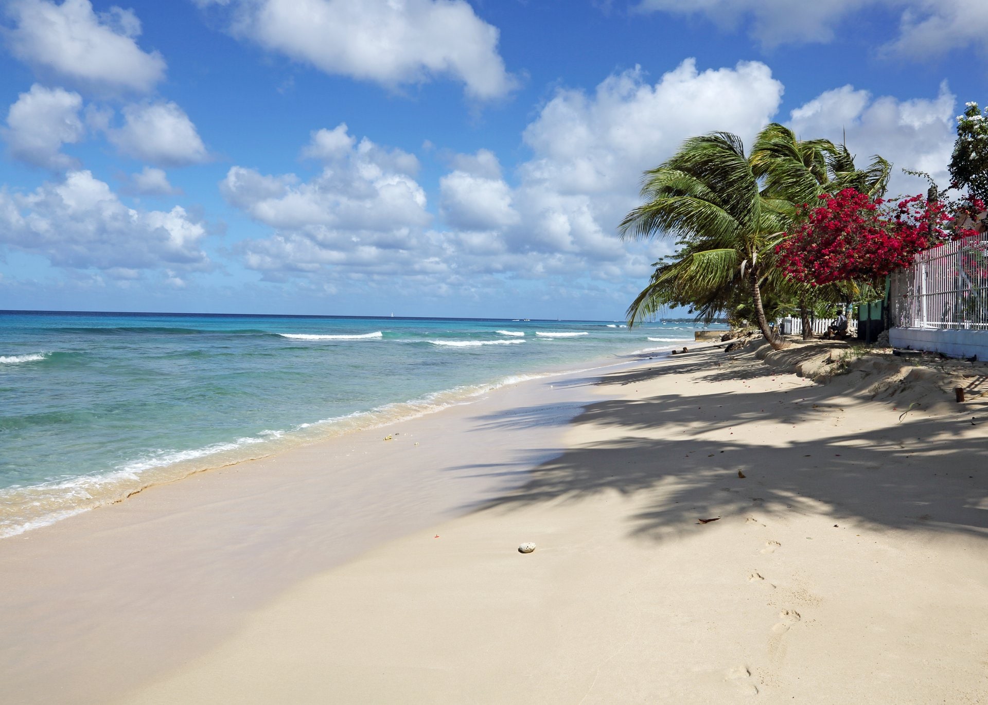 Best Places to Go Snorkeling in Barbados | Celebrity Cruises