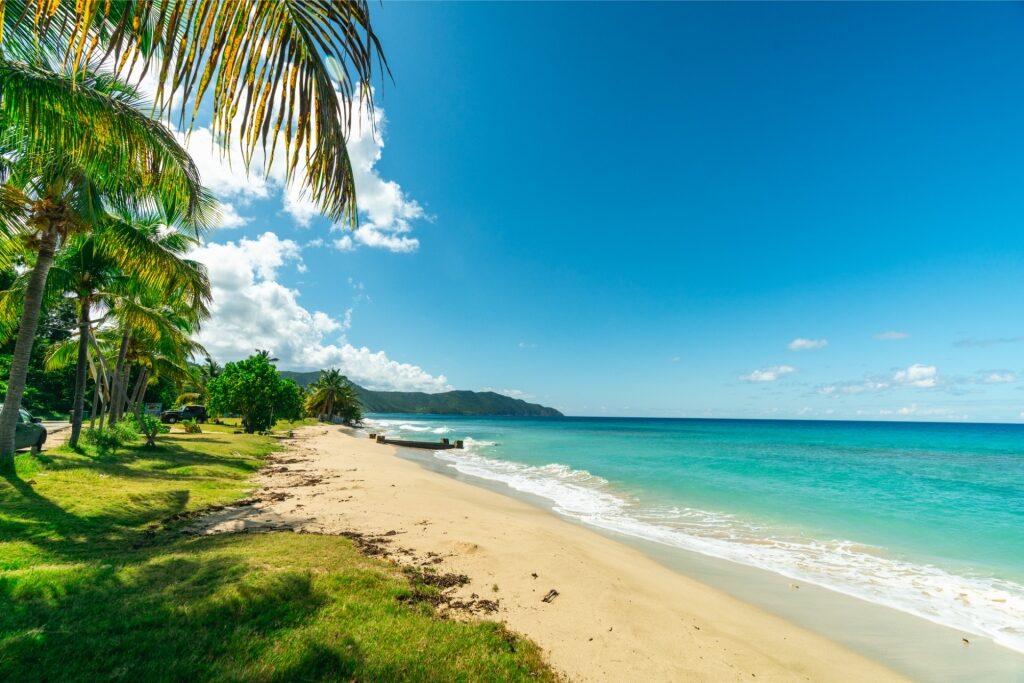 Cane Bay in St. Croix, USVI, one of the best snorkeling in the Caribbean