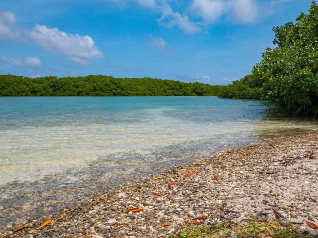 Pebbly shoreline of Lac Bay, Bonaire