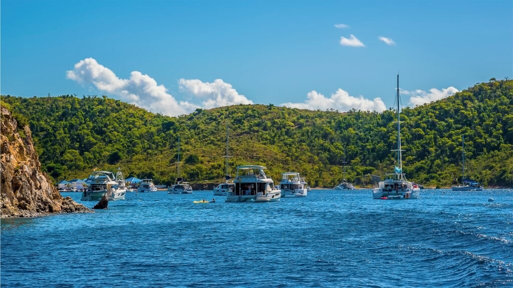 Lush waterfront of Norman Island, BVI