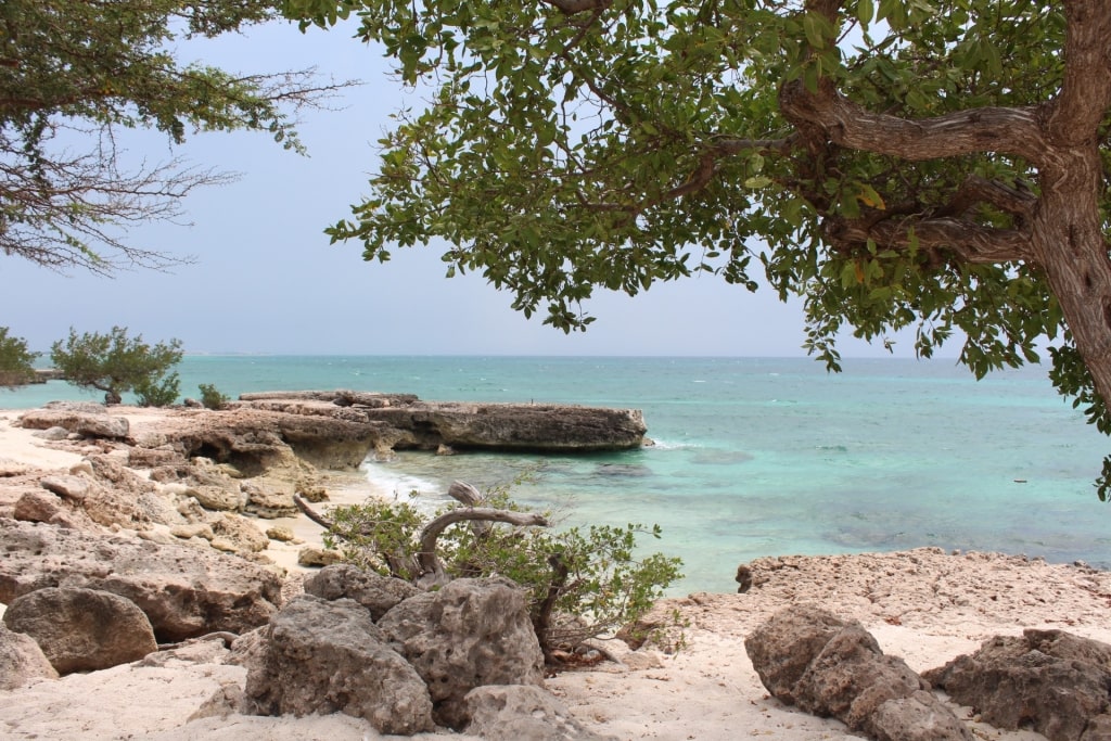 Rocky shoreline of Malmok Beach