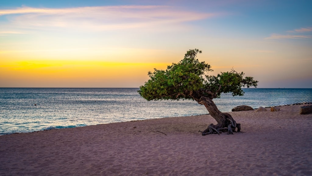 View of the sunset from Eagle Beach