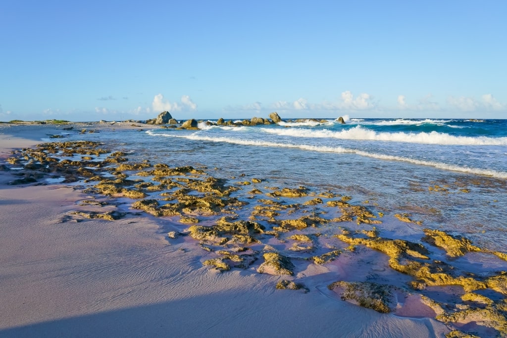 Fine sand of Westpunt Beach