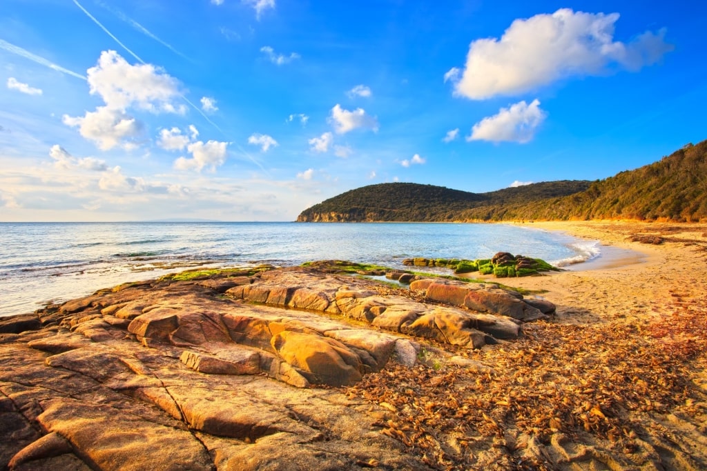 Cala Violina, near Livorno, one of the best beaches in Italy