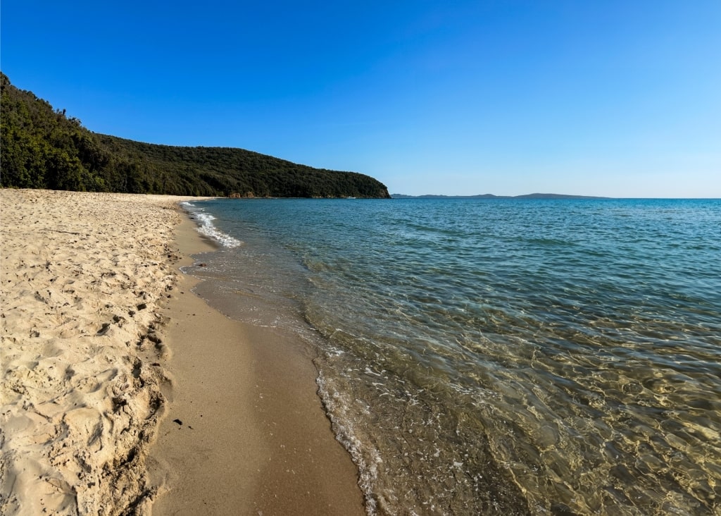 Clear water of Cala Violina, near Livorno