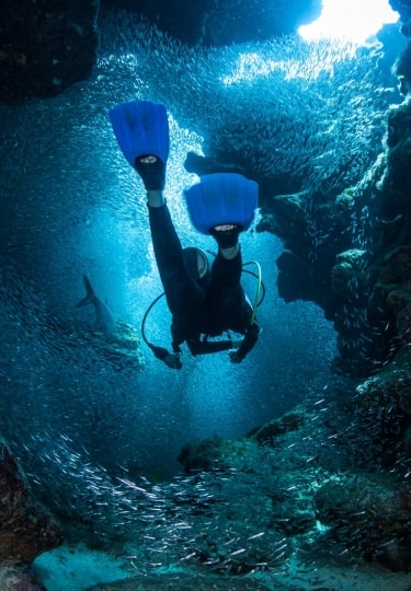 Best scuba diving in the Caribbean - Devil's Grotto