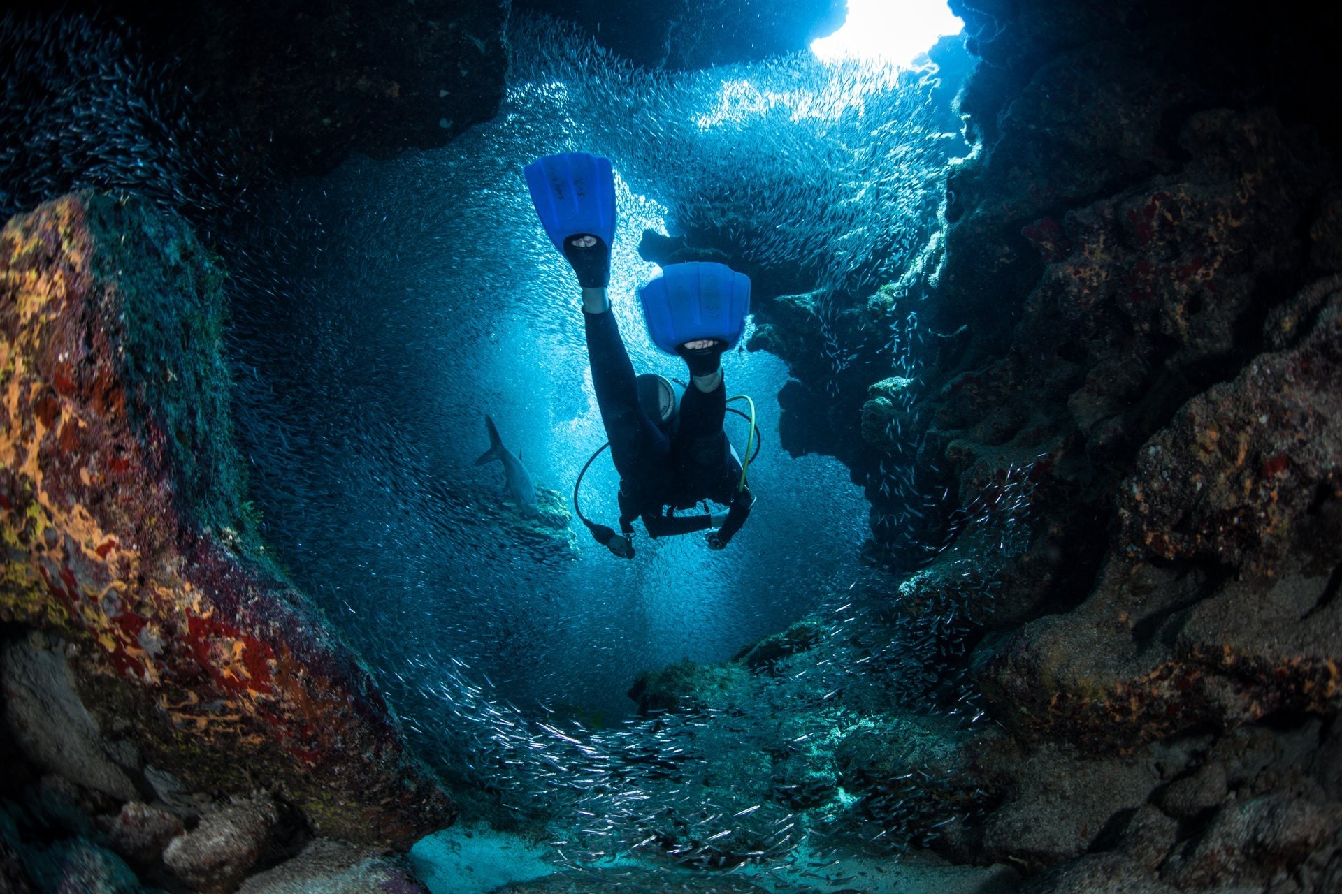 The Best Spots For Scuba Diving In The Caribbean Celebrity Cruises