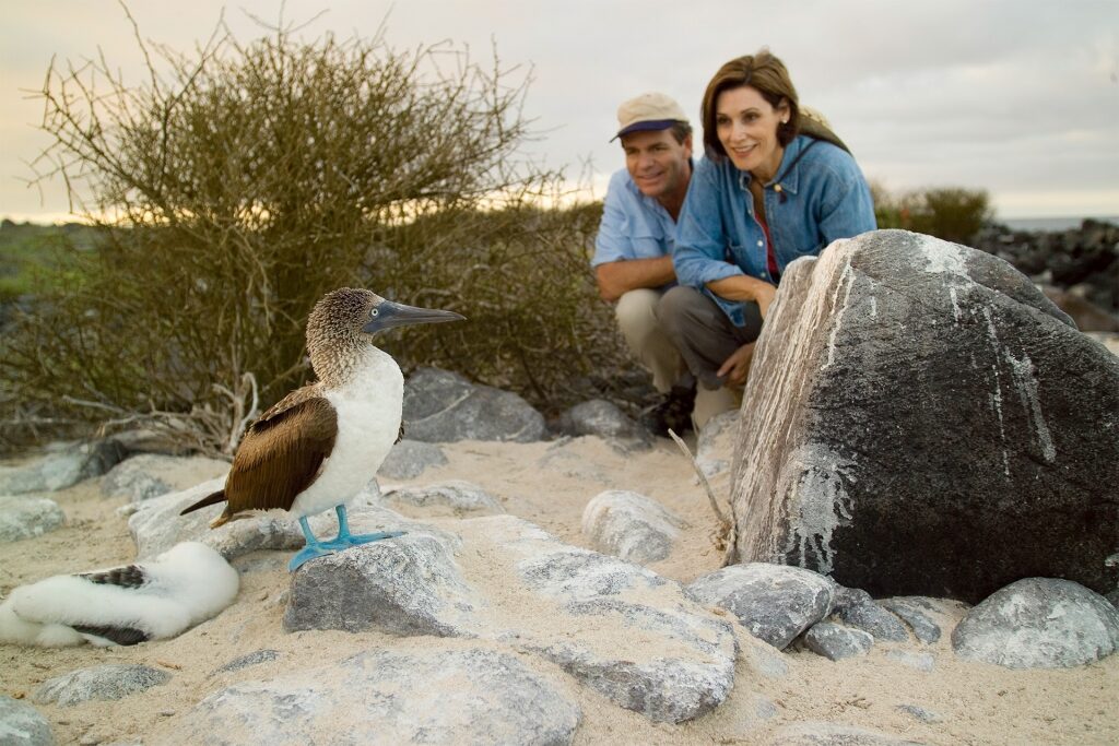 Searching for wildlife in the Galapagos, one of the best outdoor vacations