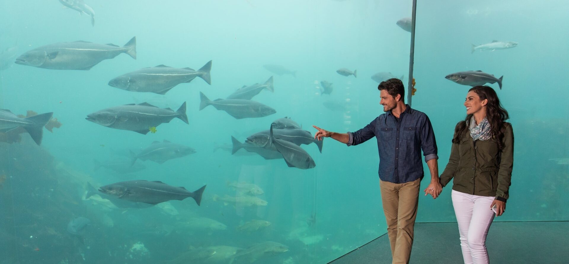 11 Best Aquariums in the World