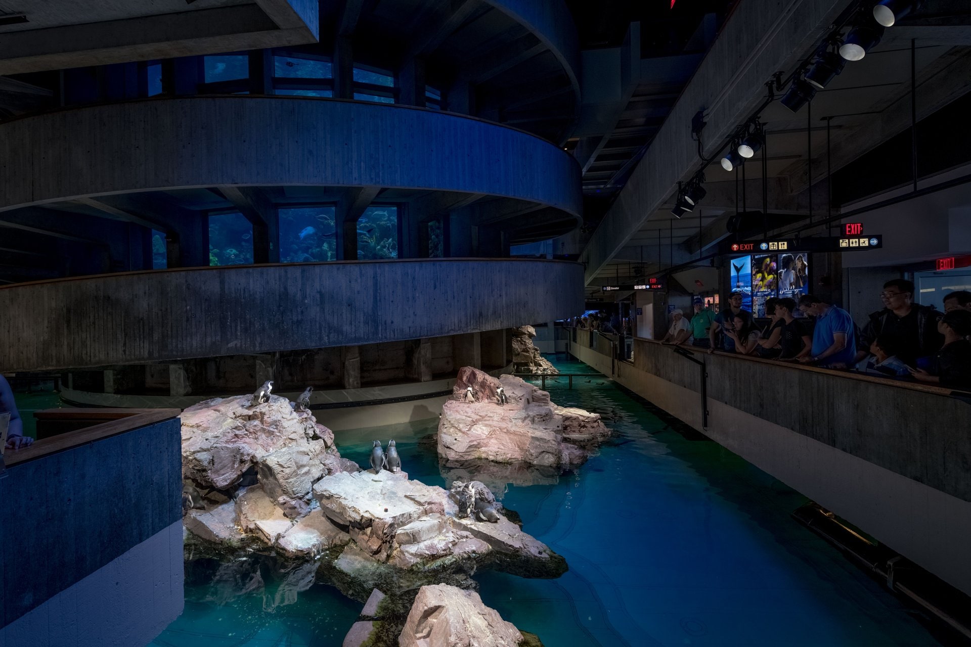 11 Best Aquariums in the World - Best Aquariums In The WorlD New EnglanD Aquarium Boston Usa