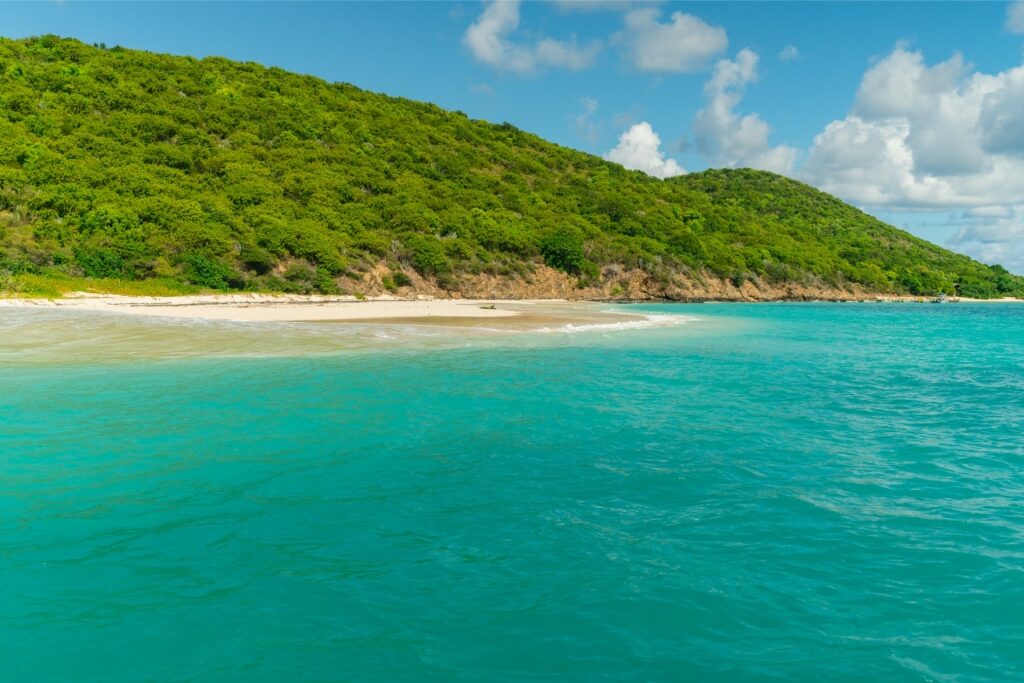 Beautiful shoreline of Buck Island, St. Croix