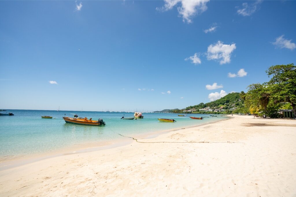 Grand Anse Beach, one of the best white sand beaches in the world