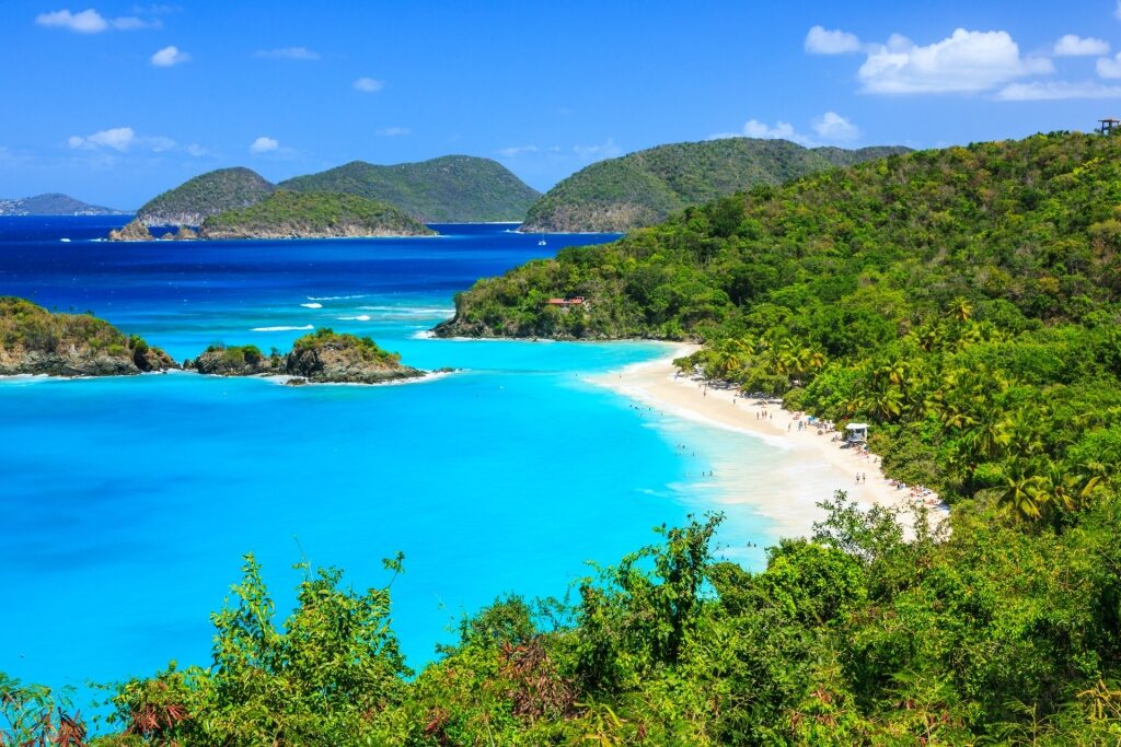 Aerial view of Trunk Bay, St. John