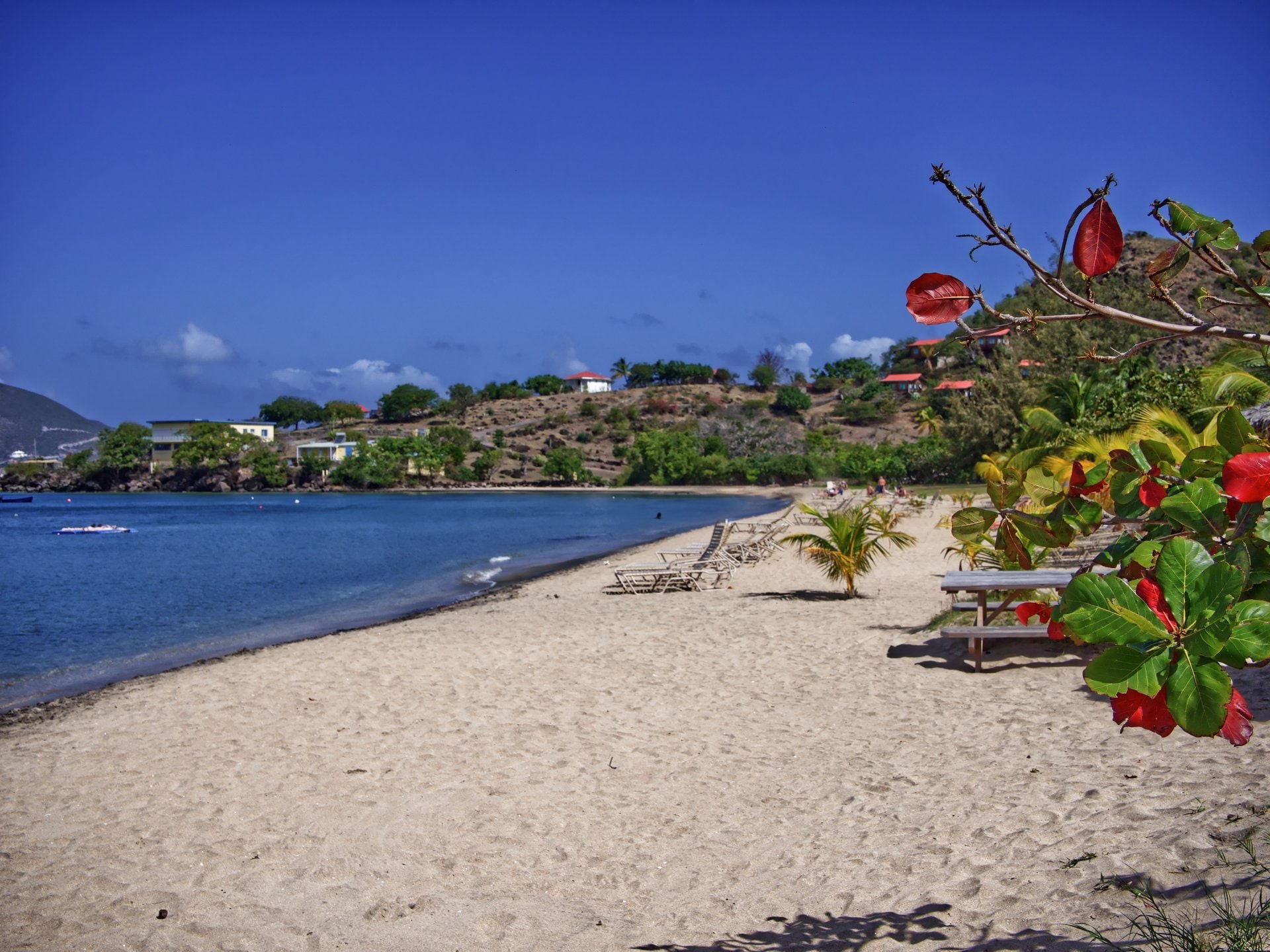 14 Best Beaches In St Kitts Nevis Celebrity Cruises   St Kitts Beaches Oualie Beach 