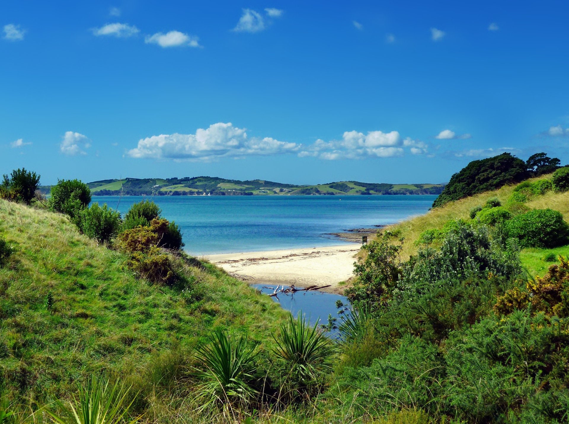 11 Best Beaches in Auckland | Celebrity Cruises