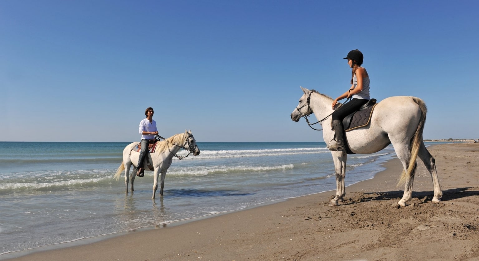 Фирма человек на коне. Camargue Horse riding.