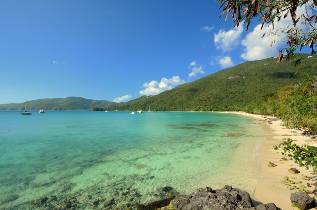 Clear water of Brewer’s Bay