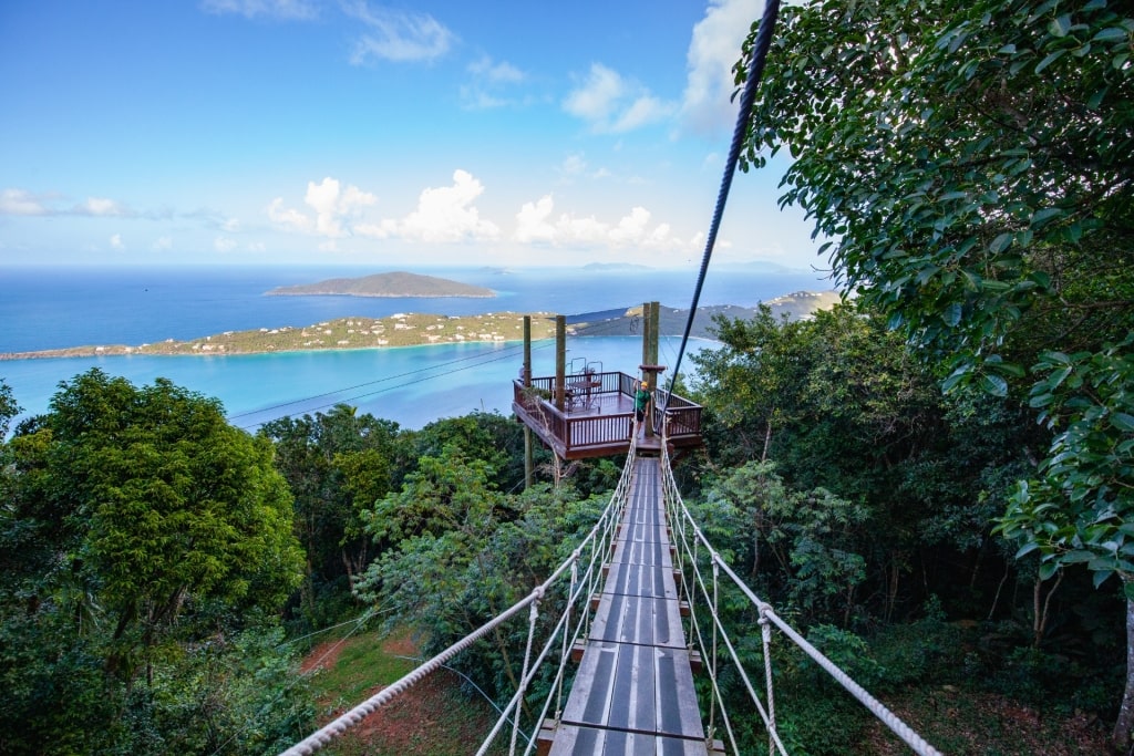 Tree Limin’ Extreme Zipline Tour, one of the best things to do in St Thomas