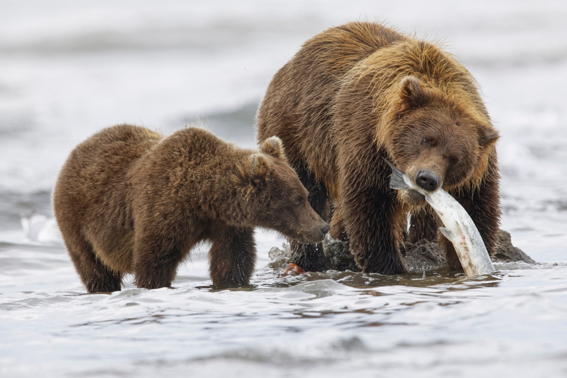 9 Magnificent Lakes in Alaska | Celebrity Cruises