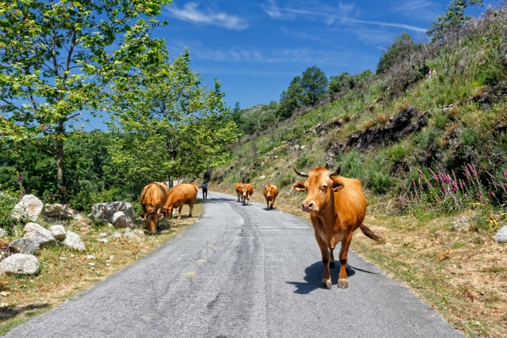 11 Most Beautiful Places in Portugal