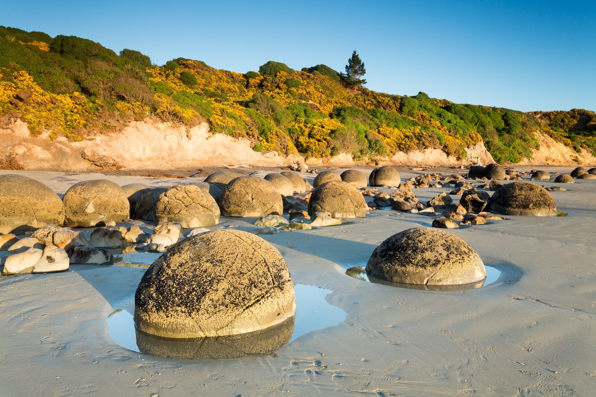 10 Best Beaches in New Zealand | Celebrity Cruises 