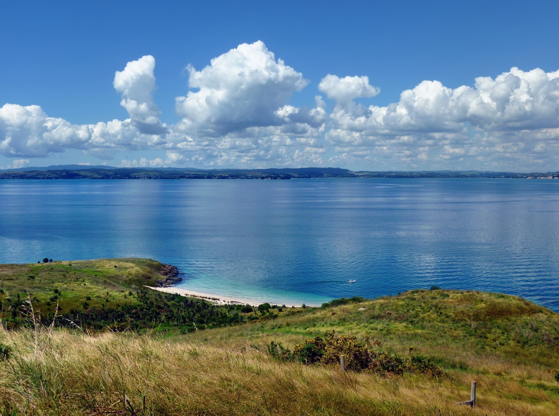 10 Best Beaches in New Zealand | Celebrity Cruises 