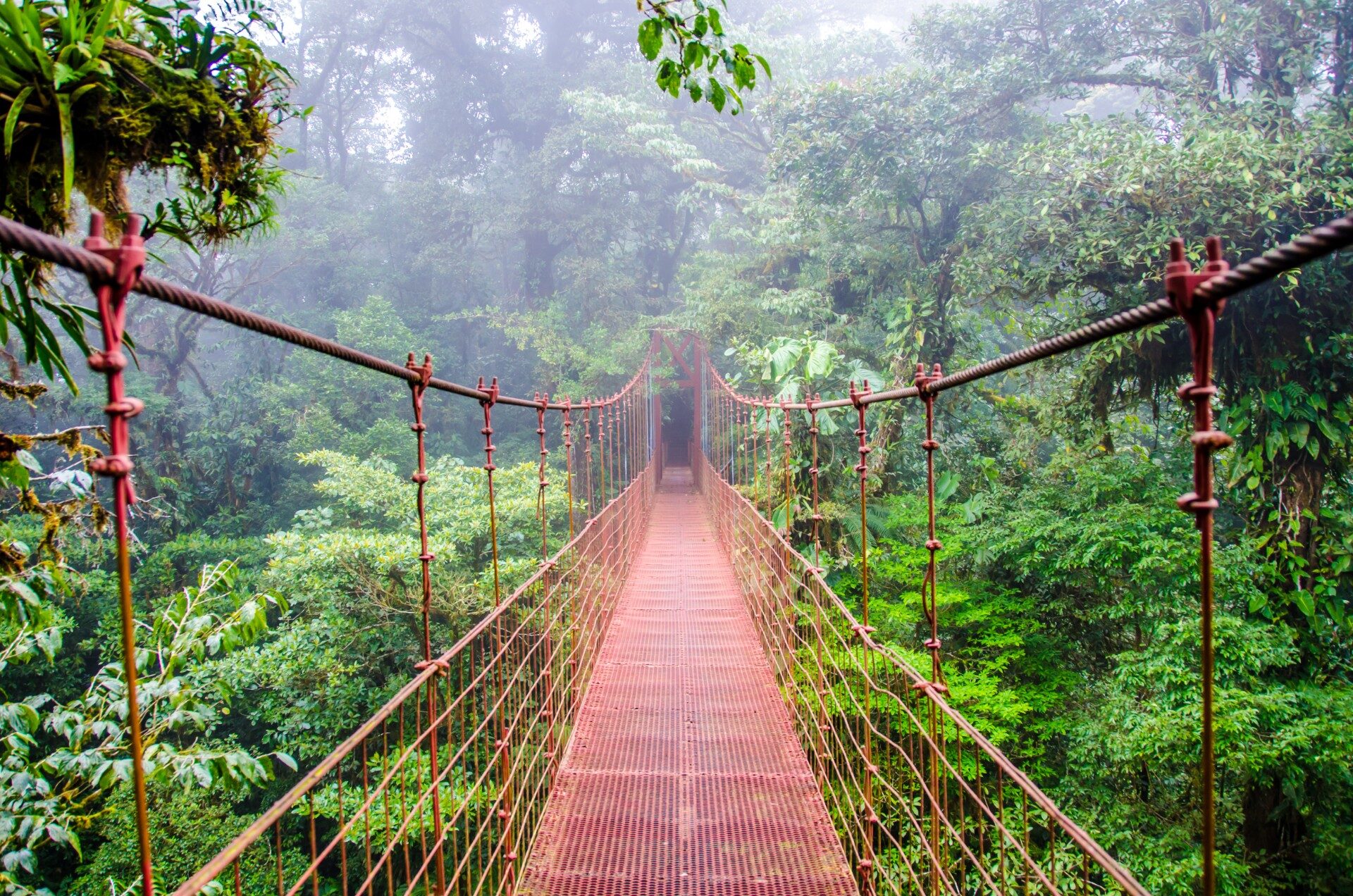 How to Visit Costa Rica in the Rainy Season: Best Regions