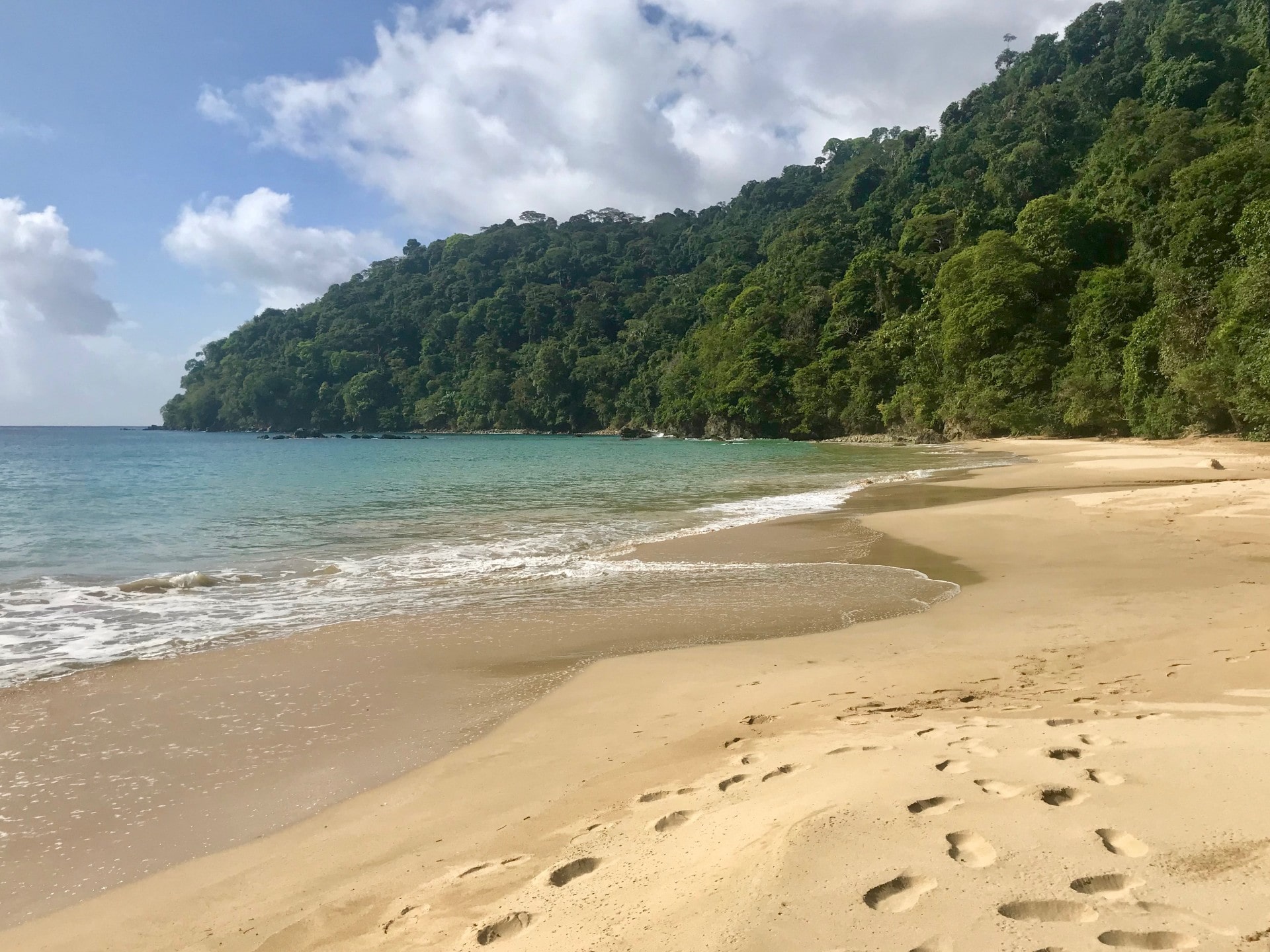 11 Best Things to Do in Tobago | Celebrity Cruises