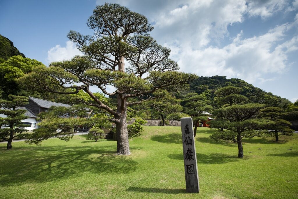 Lush landscape of Sengan-en Garden, Kagoshima