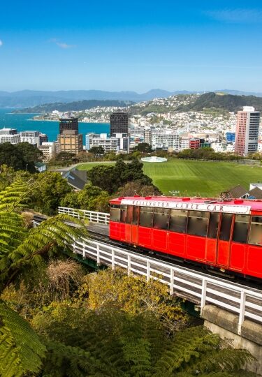 10 Best Cities in New Zealand | Celebrity Cruises