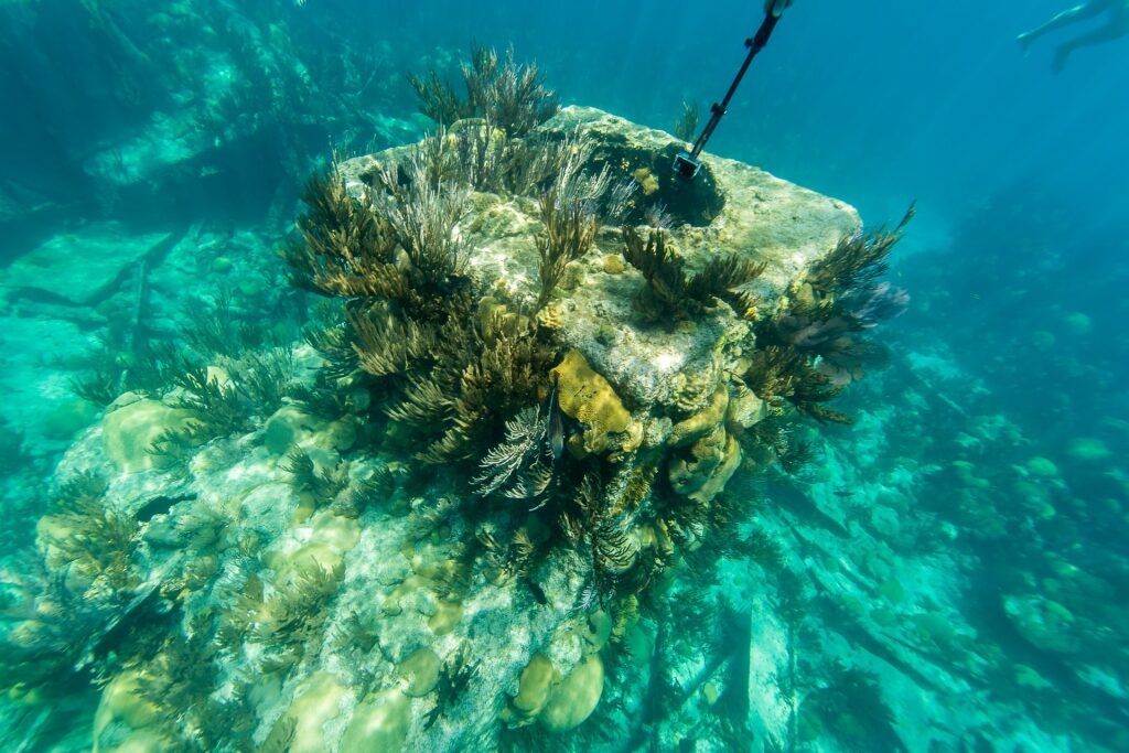 View of the Montana shipwreck in Bermuda