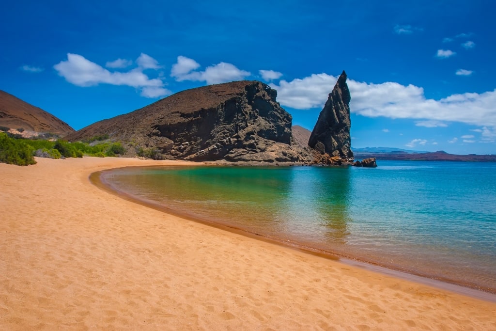 Exploring the Stunning Beaches of the Galapagos Islands