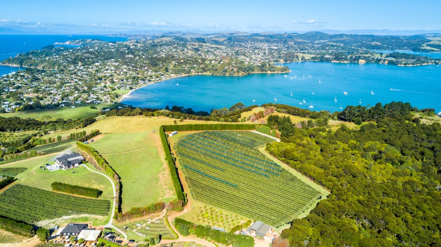 the-ultimate-guide-to-new-zealand-s-wine-regions-celebrity-cruises