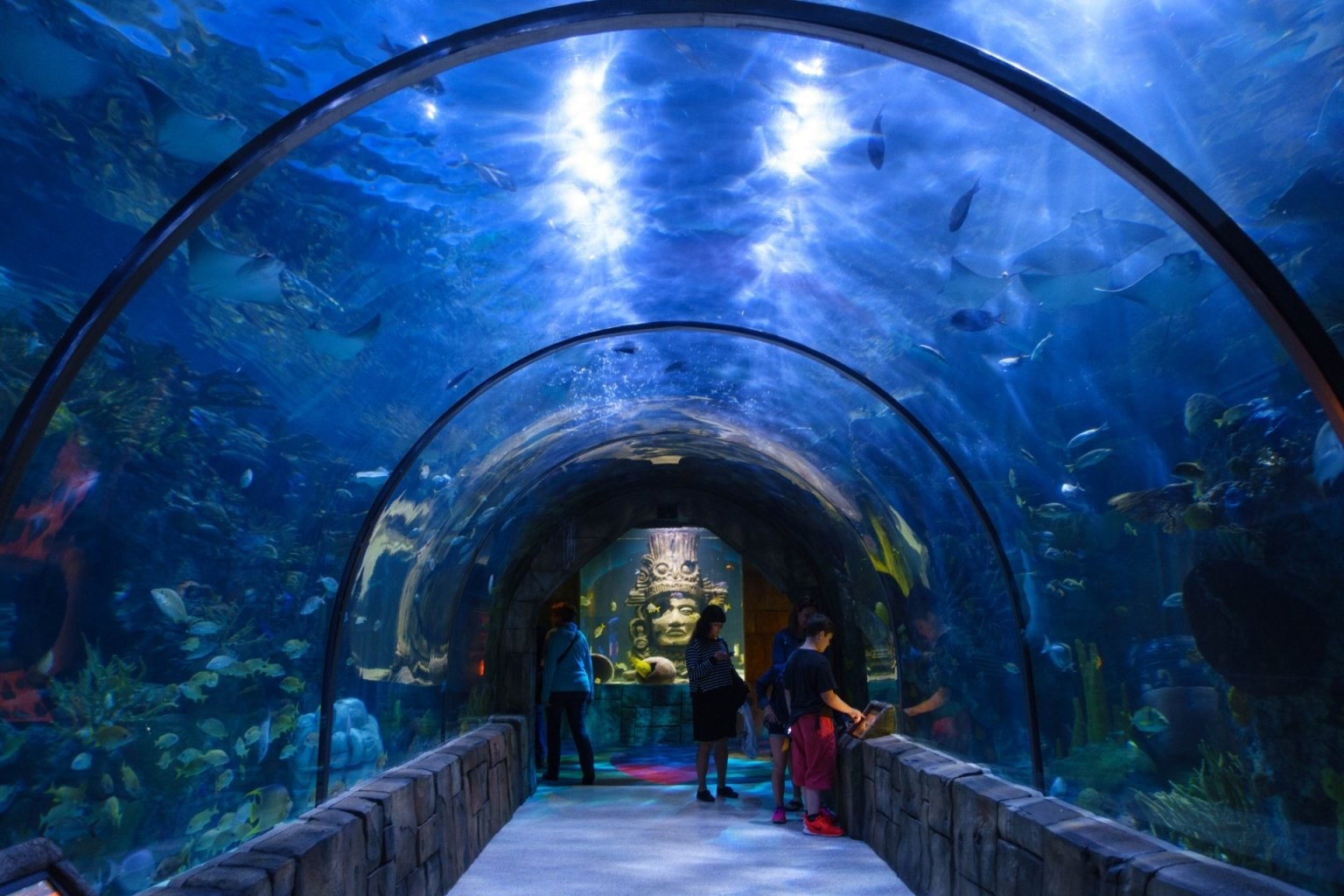 10 океанариумов. Лиссабонский океанариум Лиссабон. Новый Орлеан Aquarium. Океанариум Акулий риф. Аквариум Шедда Чикаго.